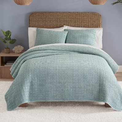 3-Piece King Quilt Set in Succulent